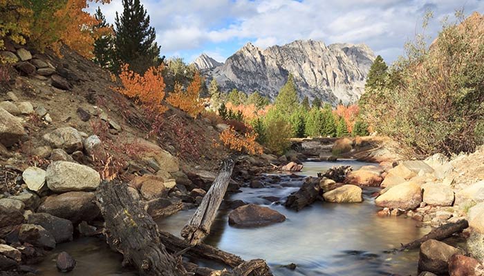 A mountain stream
